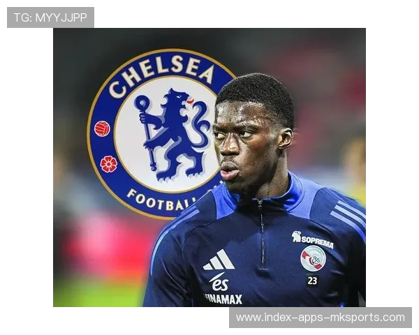 切尔西引援策略获赞未来可期