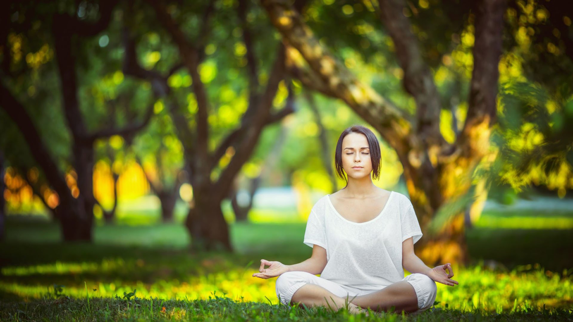 世界举重青少年线上日记:训练透明化提高监督效率,举重现世界纪录一览